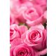 Illatolaj Pipere Damaszkuszi rózsa 250ml