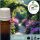 Illatolaj Aspol Botanic Garden AF70 11231  10ml