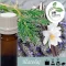 Illatolaj Aspol Vanilla Cedar Lavender AF70 2349  100ml