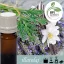 Illatolaj Aspol Vanilla Cedar Lavender AF70 2349  100ml
