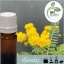 Illatolaj Aspol Mimosa  AF70 0495  50ml