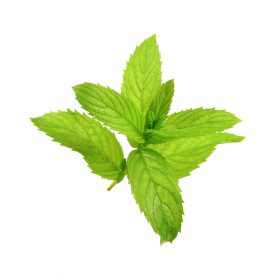 Illóolaj Pipere Borsmenta 10ml