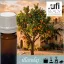 Illatolaj Aspol Eden Orange AF70 6574 (Narancs) 10ml
