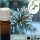 Illatolaj Aspol Frozen Spruce (Fagyott fenyő)   AF70 0043   250ml
