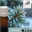 Illatolaj Aspol Frozen Spruce (Fagyott fenyő)   AF70 0043   10ml