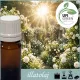 Illatolaj Aspol Pure Sun Dream  AF70 7185  50ml