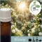 Illatolaj Aspol Pure Sun Dream  AF70 7185  100ml