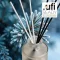  Illatosított diffúzor olaj Aspol Frozen Spruce AF73 0043  500ml