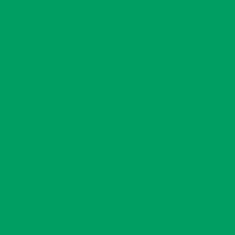   Glicerinbázisú folyékonyszínező KELLY ZÖLD (Kelly Green) 20ml