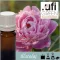 Illatolaj ASPOL Peony Queen AF70 6731 Bazsarózsa  100ml