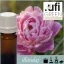 Illatolaj ASPOL Peony Queen AF70 6731 Bazsarózsa  100ml