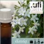 Illatolaj Aspol Fresh Jasmine  (Jázmin) AF70 6835  100ml