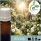 Illatolaj Aspol Pure Sun Dream  AF70 7185  250ml