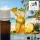 Illatolaj Aspol Pineapple Fizz (Ananász pezsgő) AF70 4583  10ml