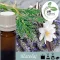 Illatolaj Aspol Vanilla Cedar Lavender AF70 2349  1000ml