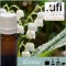Illatolaj Aspol Lily of the valley (Gyöngyvirág)   AF70 17621 50ml