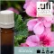 Illatolaj Aspol Fleur de Pelargonium AF70 6221 (Geránium) 250ml