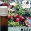 Illatolaj Aspol Cranberry woods AF70 3983  50ml