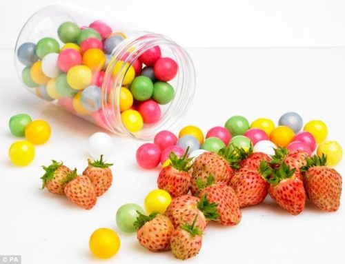 Illatolaj Pipere Gyümölcsös rágógumi  (Berry Bubblegum) 10ml