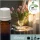 Illatolaj Aspol Tulip Grace (Tulipán)  AF70 3495  50ml