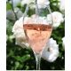 Illatolaj Pipere Prosecco & Rose 10ml