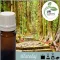 Illatolaj Aspol Wood & You  AF70 2258  50ml