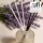 Illatosított diffúzor olaj Aspol Lavender (Levendula) AF73 5413  100ml
