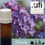 Illatolaj Aspol Lilac (Orgona)  AF70 2787  250ml