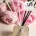 Illatosított diffúzor olaj Aspol Peony Queen (Bazsarózsa) AF73 6731   500ml