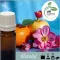 Illatolaj Aspol Blue soft  AF70 58863   250ml