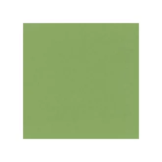   Glicerinbázisú folyékonyszínező SAGE ZÖLD (Sage green) 5ml