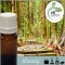 Illatolaj Aspol Wood & You  AF70 2258  100ml