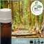 Illatolaj Aspol Wood & You  AF70 2258  100ml