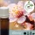 Illatolaj Aspol Pure nectar whisper  AF70 0073  50ml