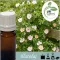 Illatolaj Aspol Rose D'amber (rózsa variáció)  AF70 5684  100ml