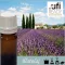 Illatolaj Aspol Provence lavender  AF70 6082 (Levendula) 100ml