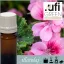 Illatolaj Aspol Fleur de Pelargonium AF70 6221 (Geránium) 10ml