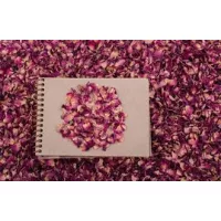 Szárazvirágok